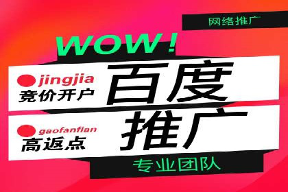 SEM服务托管实战案例分析报告